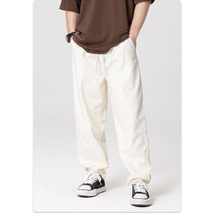 RS solidum color Pant